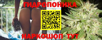 прущие грибы Изобильный