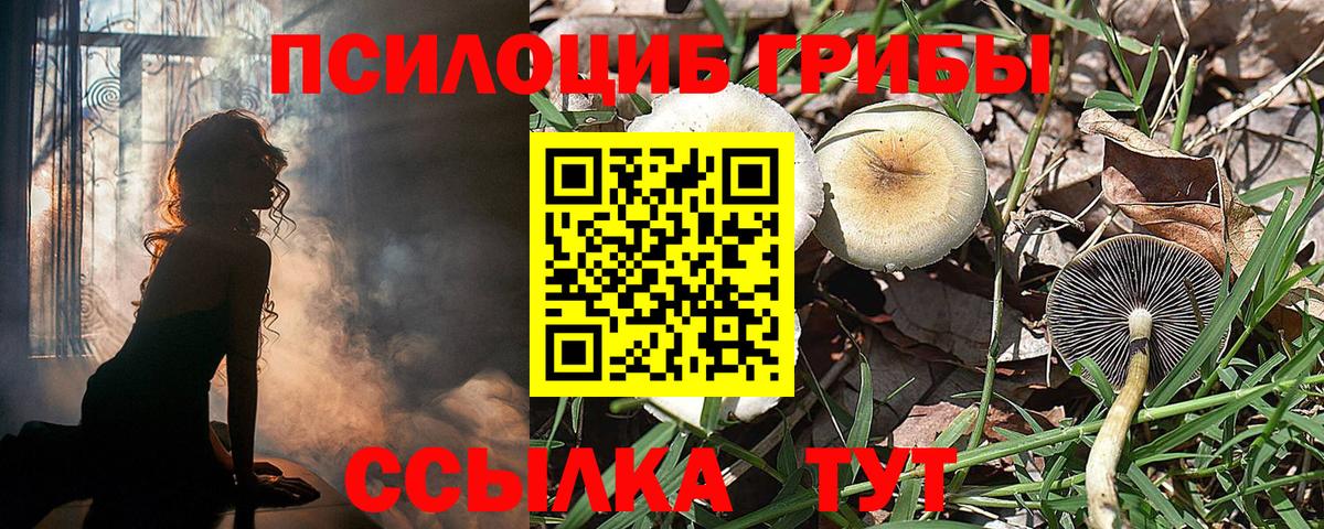 Галлюциногенные грибы MAGIC MUSHROOMS  Вход с VPN  Невинномысск 