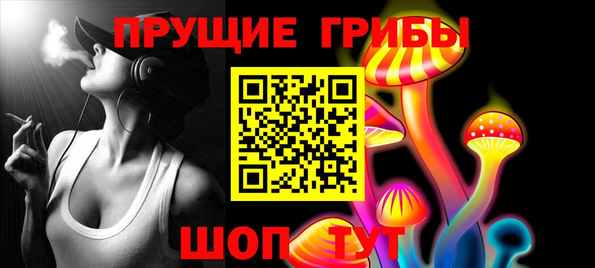 Галлюциногенные грибы Psilocybe Невинномысск